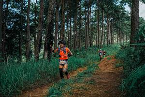 BIB: 
                            <button type="button" onclick="openModal(25752108)" class="btn btn-primary btn-sm float-right btn-popup" data-toggle="modal" data-target=".modal-high-quality">
                        <i class="fas fa-shopping-cart"></i> Add to Cart
                    </button>
                                            <button type="button" onclick="isThisMe(25752108, true)" class="btn btn-success btn-sm float-right btn-popup btn-isme hidden" data-toggle="tooltip" data-placement="bottom" title="นี่คือรูปของคุณใช่ไหม คลิกที่นี่เพื่อเอาเข้าอัลบั้ม">
                        <i class="fas fa-plus"></i> Add to album
                    </button>
                    <button type="button" onclick="isThisMe(25752108, false)" class="btn btn-warning btn-sm float-right btn-popup btn-isnotme hidden">
                        <i class="fas fa-ban"></i> Remove from album
                    </button>